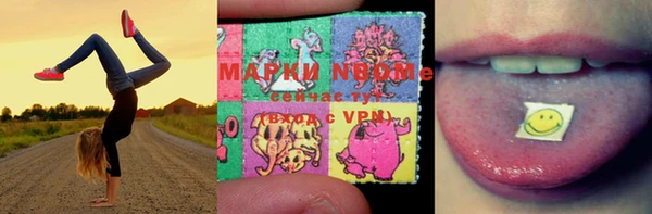 прущий лед Корсаков