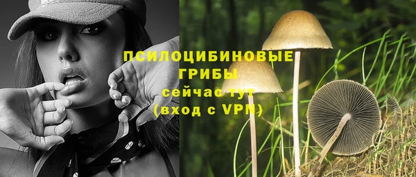 прущий лед Корсаков
