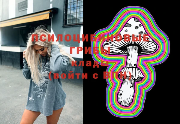 МДПВ Костерёво