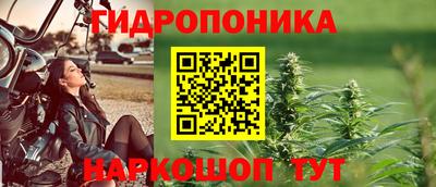 apvp Ирбит