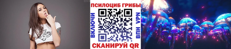 купить наркоту  Чапаевск  Псилоцибиновые грибы ЛСД 