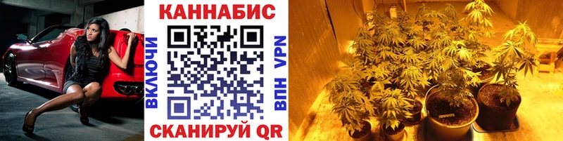 закладки Чапаевск Шишки марихуана OG Kush